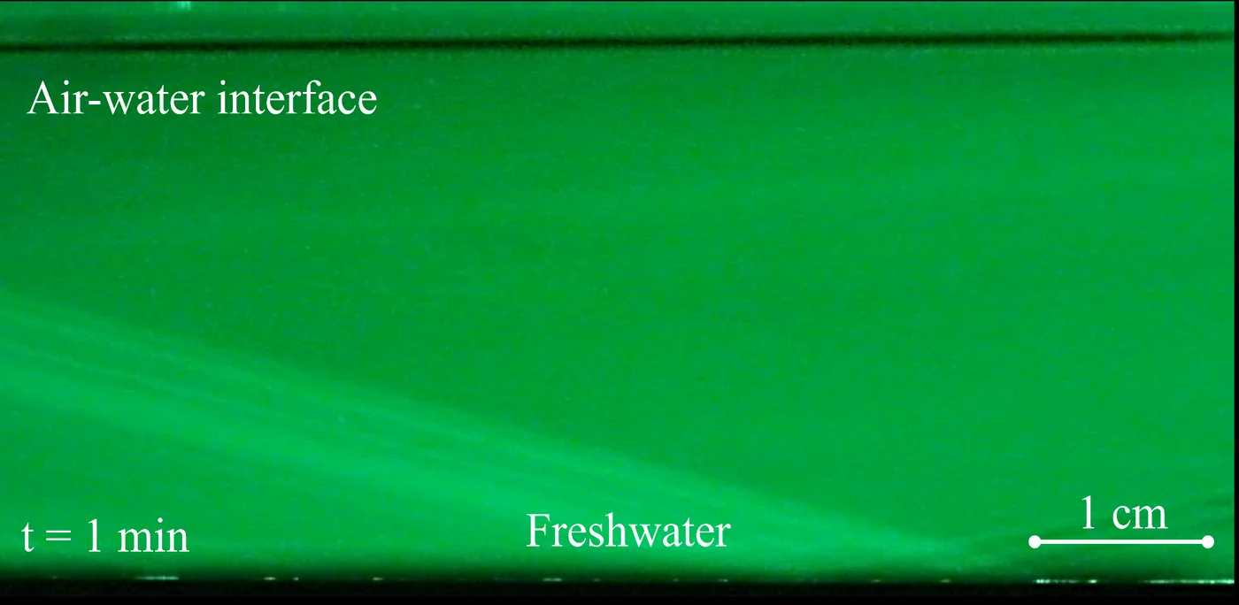 PLIF in fresh water one minute after CO₂ enters the headspace: dark CO₂-rich water forms at the surface.