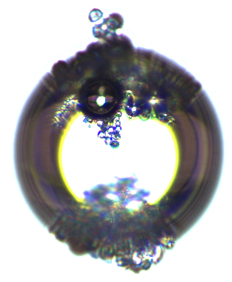 The same drop after the field: the particles have gathered at the poles.